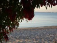 /album/fotogaleria/diciembre-2010-062-jpg/